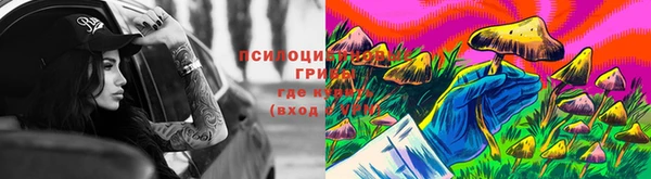 mdma Медвежьегорск