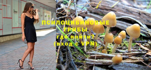 ПСИЛОЦИБИНОВЫЕ ГРИБЫ Михайловск